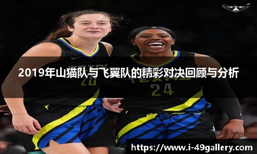 2019年山猫队与飞翼队的精彩对决回顾与分析
