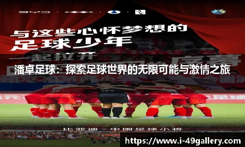 潘卓足球:探索足球世界的无限可能与激情之旅
